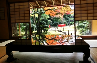 長崎バスで行く紅葉スポット〜心田庵 秋の一般公開2018〜