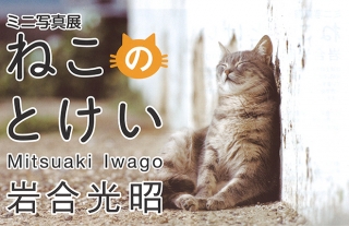 岩合光昭　ミニ写真展「ねこのとけい」開催！