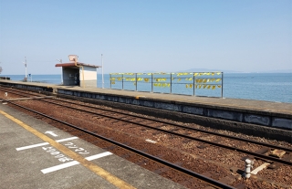【島原鉄道】大三東駅での「幸せの黄色いハンカチ」無人販売開始