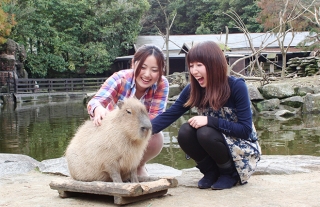 ゴールデンウィークは、長崎バスで『バイオパーク』に出かけよう♪