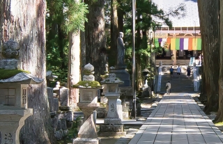 あじさいツアー2019年夏の特別企画発売！天空の聖地「高野山」へ！