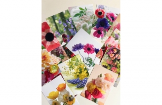 写真・パステルアート・押し花の展示「花たちのうたごえ」開催