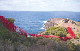 あじさいツアー冬の特別企画発売！山口絶景めぐり旅〜元乃隅神社と角島大橋〜