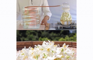 オトナCOCO塾　YAMABE KAJUEN　無農薬柑橘で作るコスメ作り