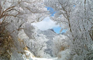 【雲仙灯りの花ぼうろ】イルミネーションと花火の祭典が雲仙温泉で2月に開催