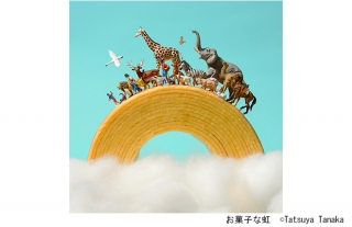 【読者プレゼント】MINIATURE LIFE展２　田中達也 見立ての世界