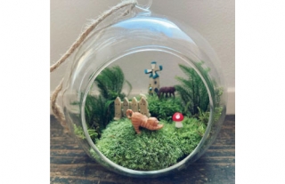 オトナCOCO塾　 ～苔テラリウム・苔玉作り～
