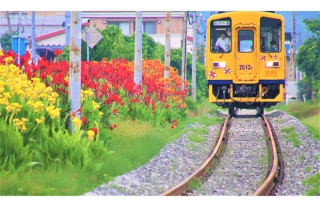 『島原鉄道フォトコンテスト2021』受賞作品発表!