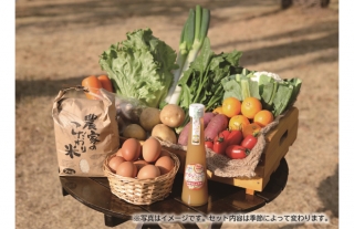 赤字覚悟！島原鉄道の穀菜食セット「“超”赤字穀菜」「赤字穀菜“極”」発売
