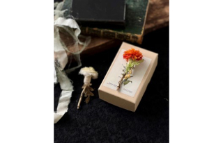 オトナCOCO塾　布からうまれる植物 ～染め花hicona布花ワークショップ～