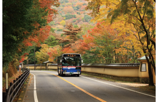 『島原鉄道フォトコンテスト2025』受賞作品発表！