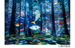 【招待券プレゼント】旅する光の切り絵展 ~くうそうって、まほうだよ~