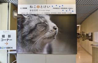 岩合光昭ミニ写真展「ねこのとけい」自由気ままな“ネコの一日”に癒される！