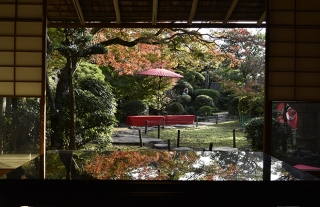 バス停ぶらりナビ5【諏訪神社前】長崎のまちなか紅葉スポット～心田庵～