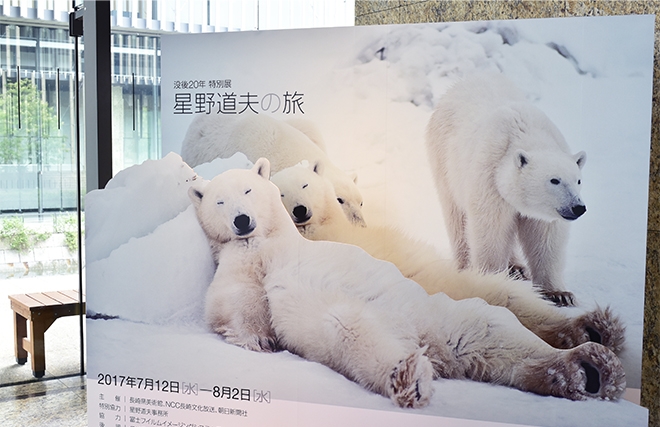 3-△ 全4巻揃い 写真集 星野道夫の仕事 カリブーの旅 北極
